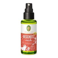 BESCHÜTZ mich Raumspray Bio