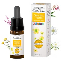 BACHBLÜTEN Murnauers Original Junior Tropfen