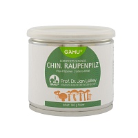 CHINESISCHER Raupenpilz Pilzpulver