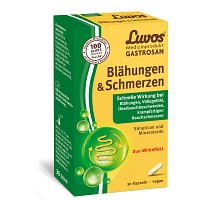 LUVOS Gastrosan Blähungen & Schmerzen Kapseln