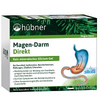 HÜBNER Magen-Darm Direkt Gel