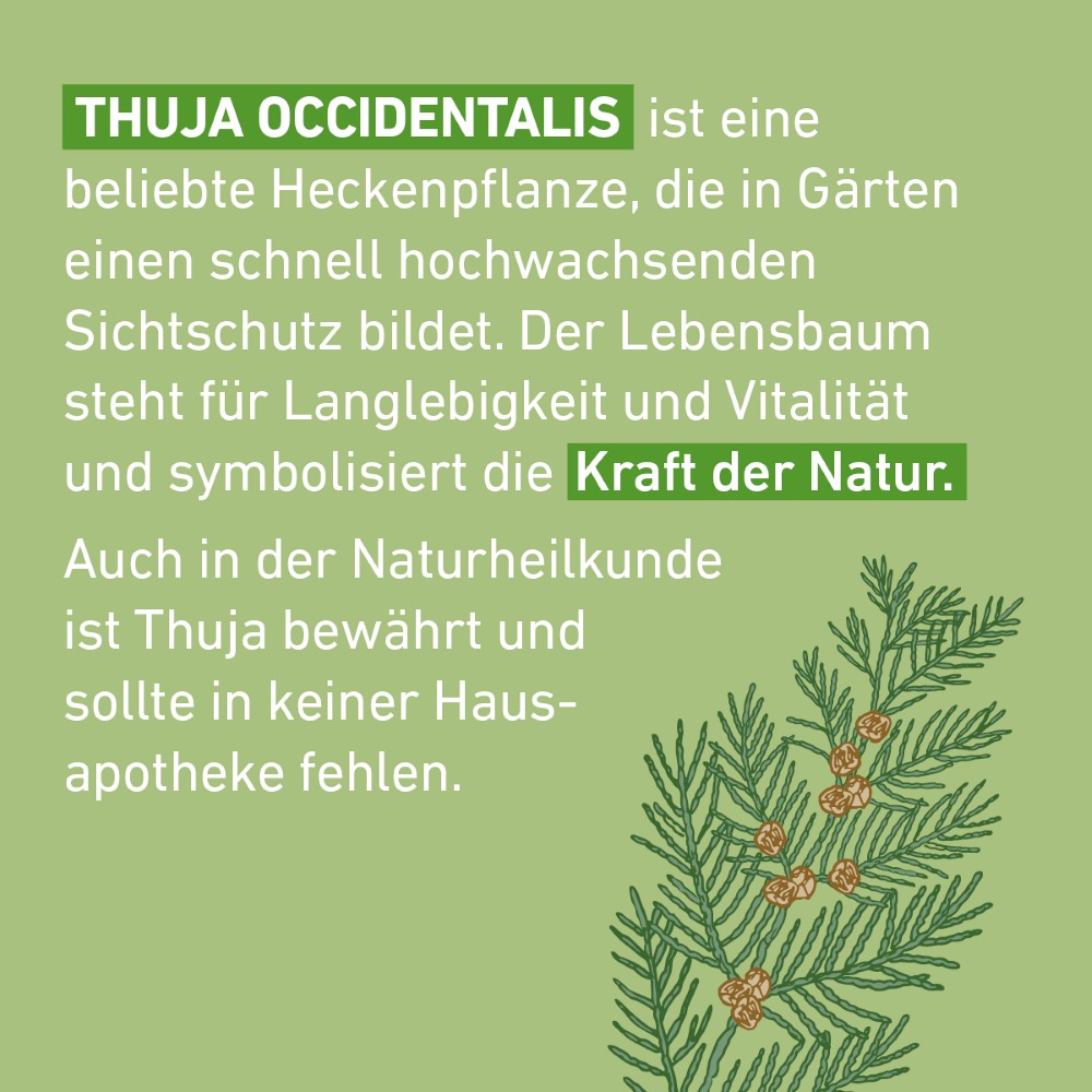THUJA C 30 Globuli Pflüger Dosierspender