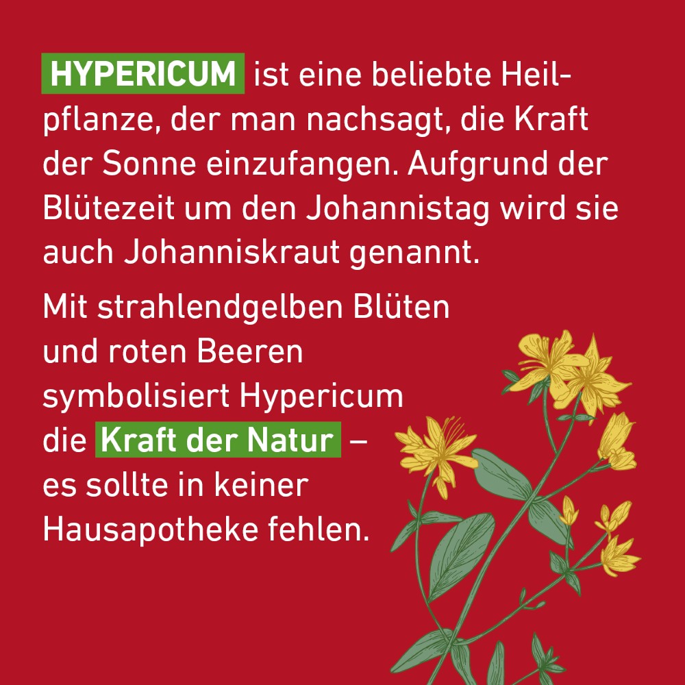 HYPERICUM D 6 Globuli Pflüger Dosierspender