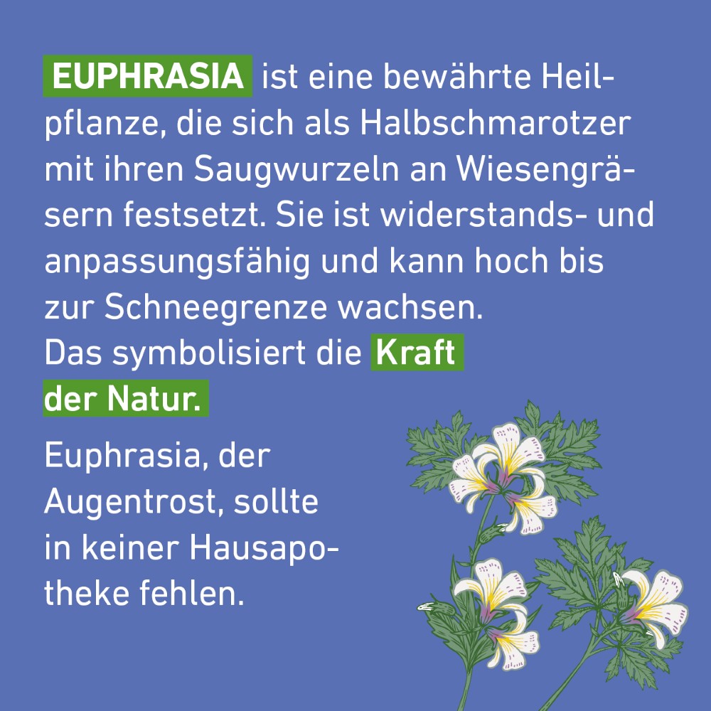 EUPHRASIA D 6 Globuli Pflüger Dosierspender EUPHRASIA D 6 Globuli Pflüger Dosierspender