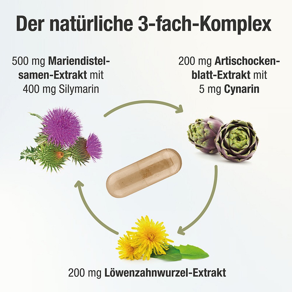 HEPAVENT Plus Leber Cholin Mariendis.Artisch.Kaps.
