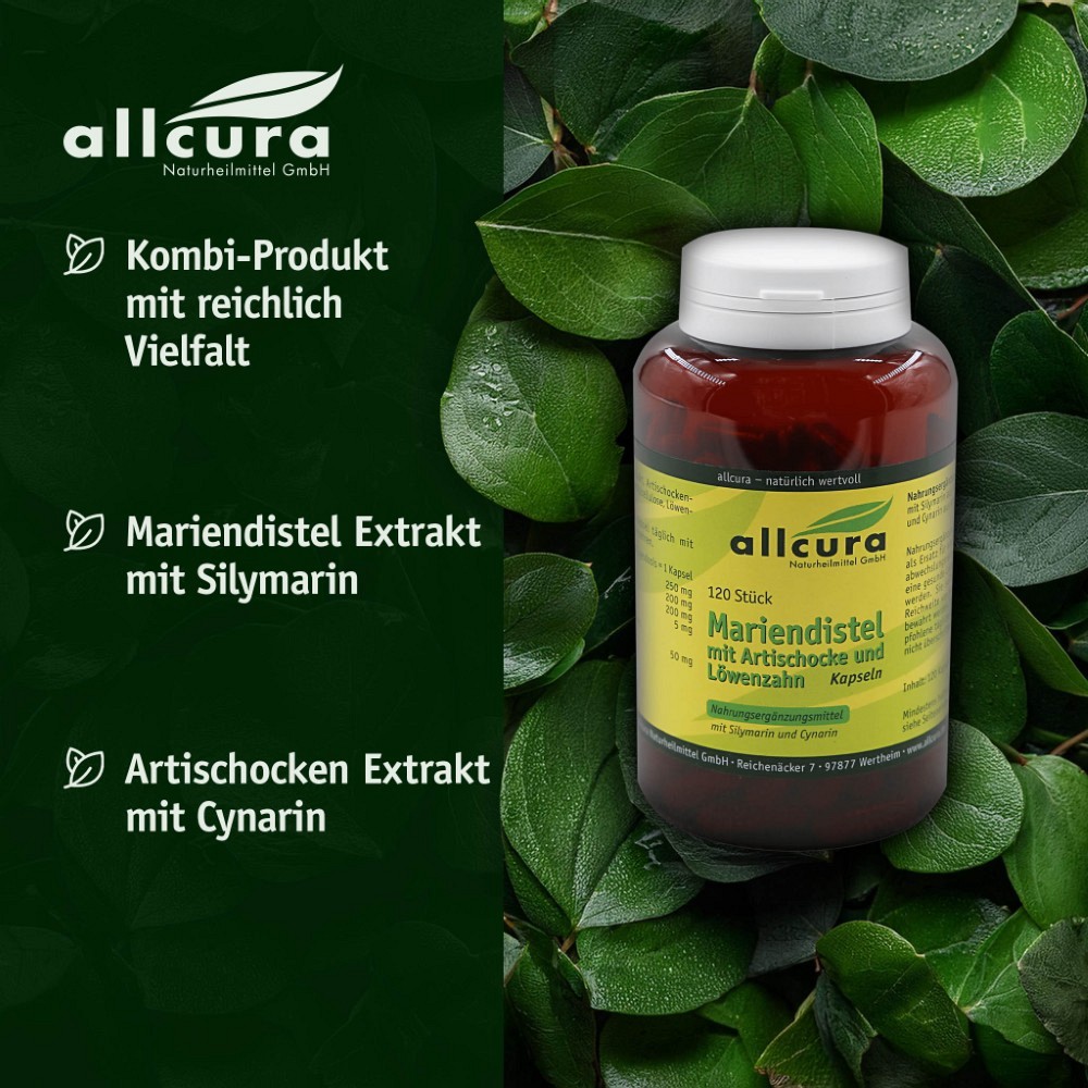 MARIENDISTEL MIT Artischocke und Löwenzahn Kapseln