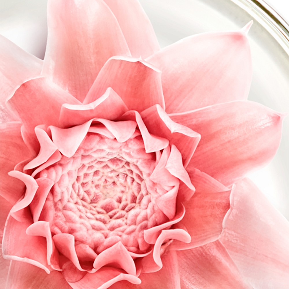 NUXE Nuxuriance Gold Öl-Creme