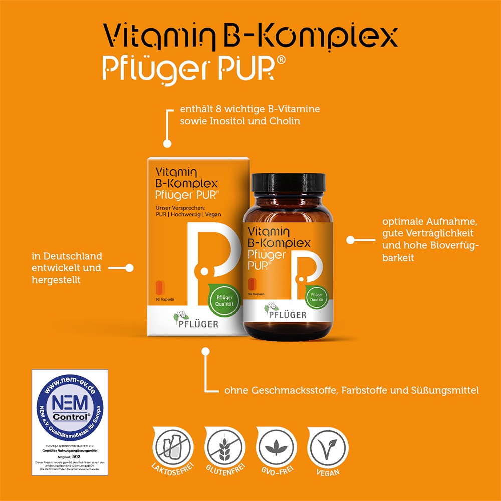 VITAMIN B KOMPLEX Pflüger PUR Kapseln