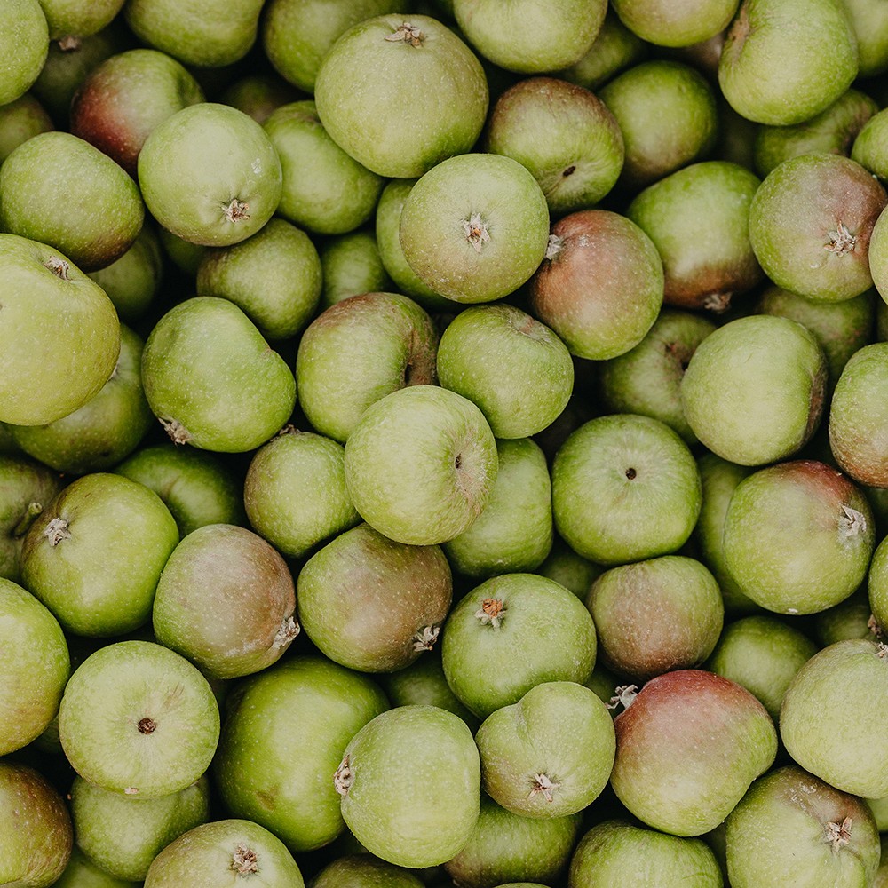 RAUSCH Anti-Pollution-Spray m.Schweizer Apfel RAUSCH Anti-Pollution-Spray m.Schweizer Apfel