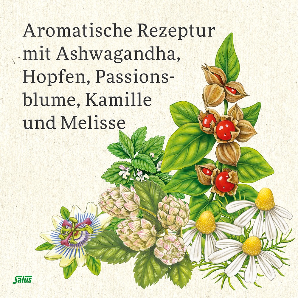 NEURO BALANCE Bio Ashwagandha+Hopfen Tee Salus