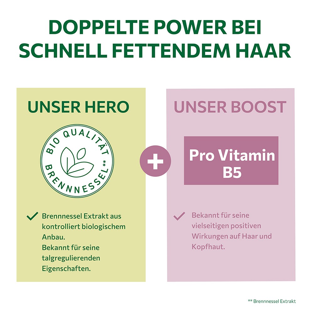 ALKMENE Meine Brennnessel Shampoo