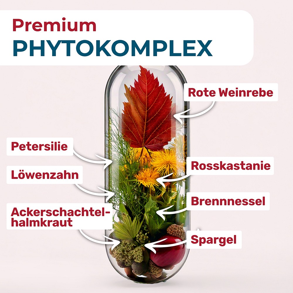 NYRAX Veno Balance Phytokomplex Bindegewebe Kaps.