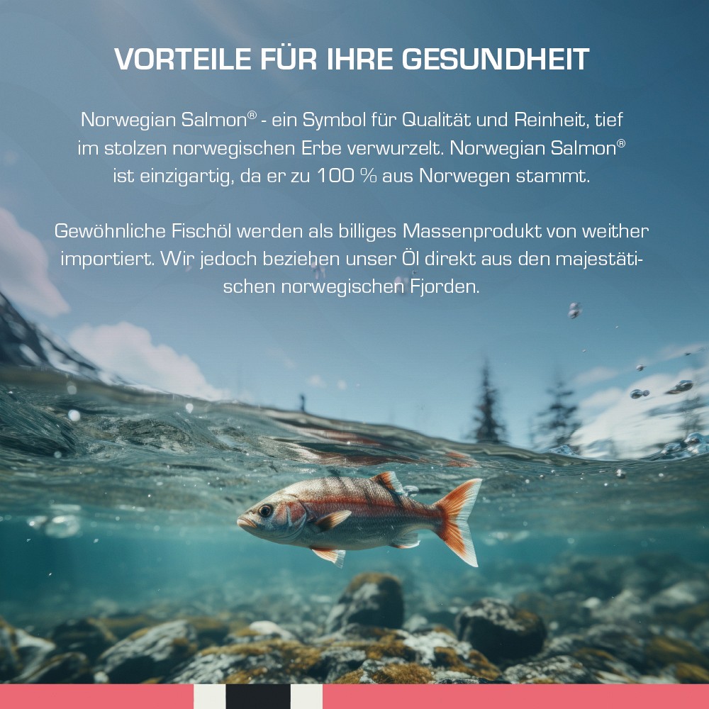 NATURAL NORWEGIAN Salmon Omega-3 Premium Weichkps.