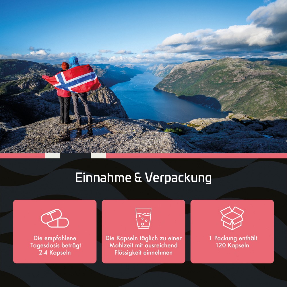 NATURAL NORWEGIAN Salmon Omega-3 Premium Weichkps.