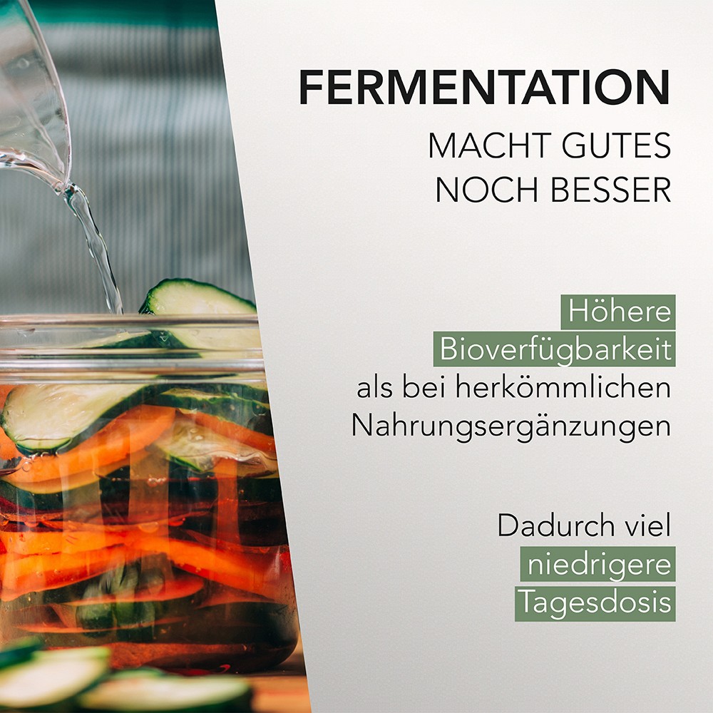 AURANATURA Fermentura Ginseng Duo Kapseln AURANATURA Fermentura Ginseng Duo Kapseln