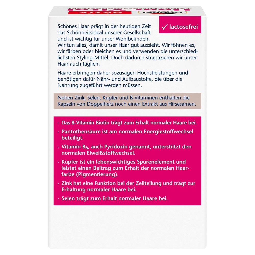 DOPPELHERZ Haar Vital+Zink+Hirse Kapseln