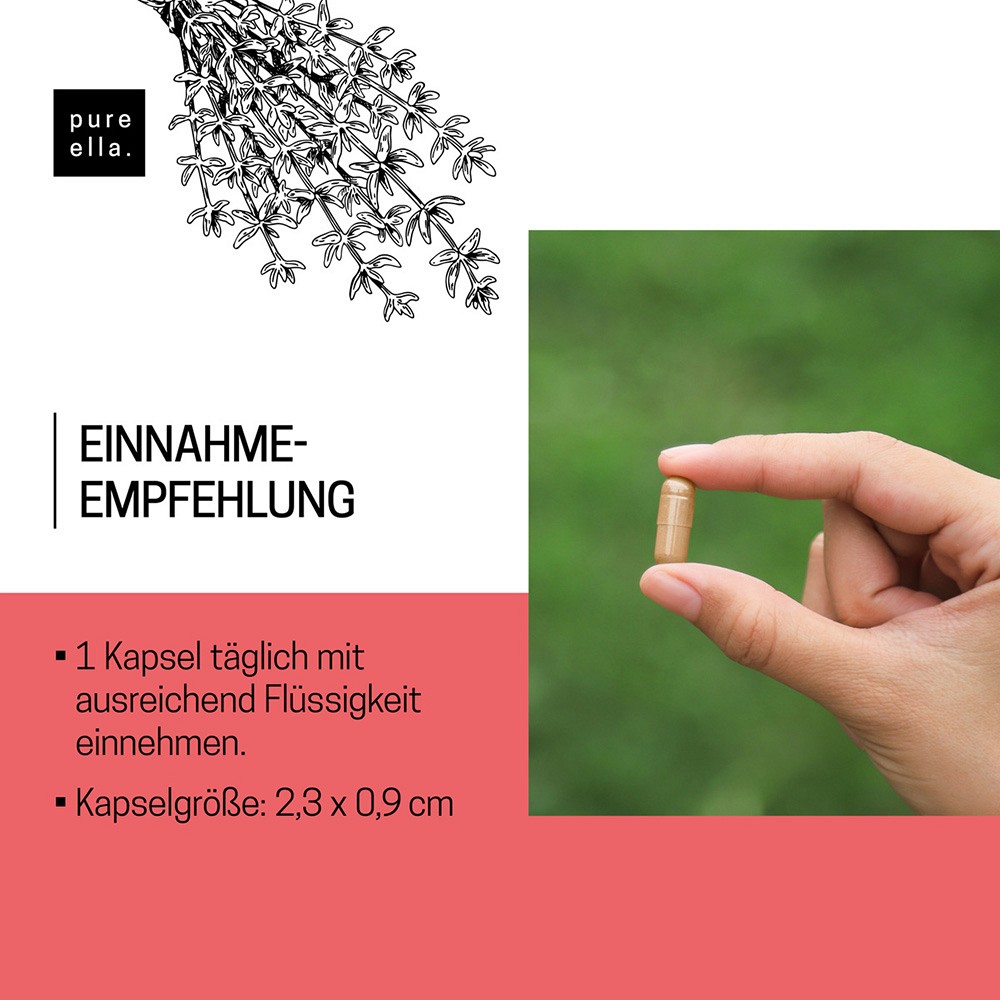 SCHILDDRÜSEN Komplex Kapseln SCHILDDRÜSEN Komplex Kapseln