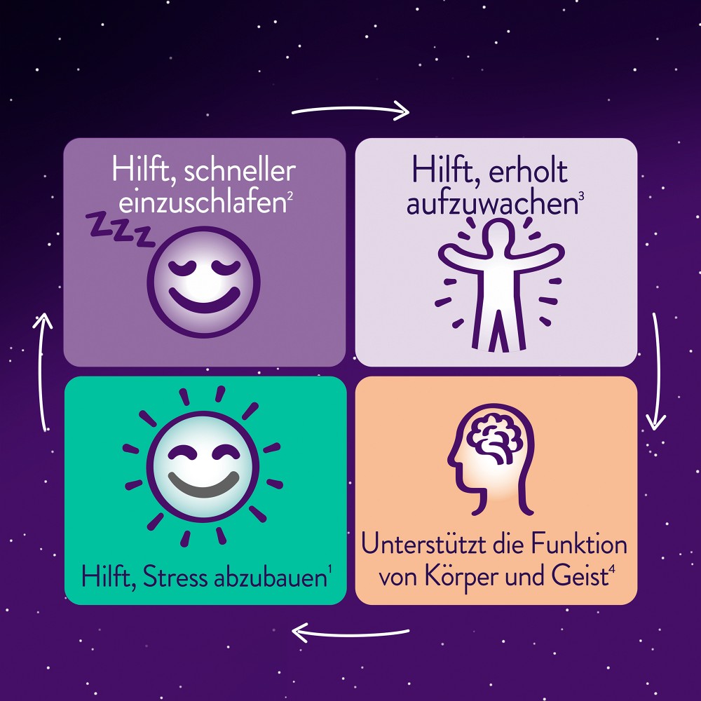 WICK ZzzQuil Gute Nacht+ Stress Balance