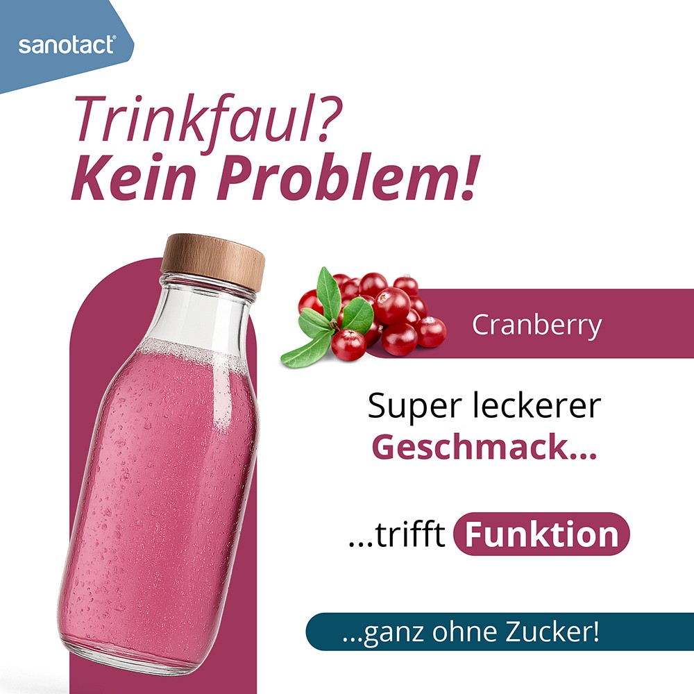 SANOTACT Cranberry+C Brausetabletten