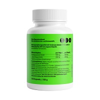 CORDYCEPS CS-4 500 mg Kapseln