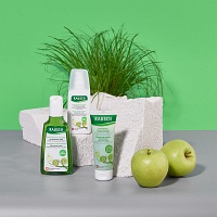 RAUSCH Anti-Pollution-Shampoo m.Schweizer Apfel RAUSCH Anti-Pollution-Shampoo m.Schweizer Apfel
